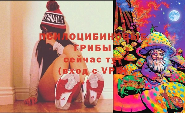 бошки Нягань