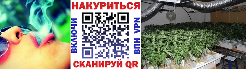 Купить где  Эртиль  Шишки марихуана LSD WEED 